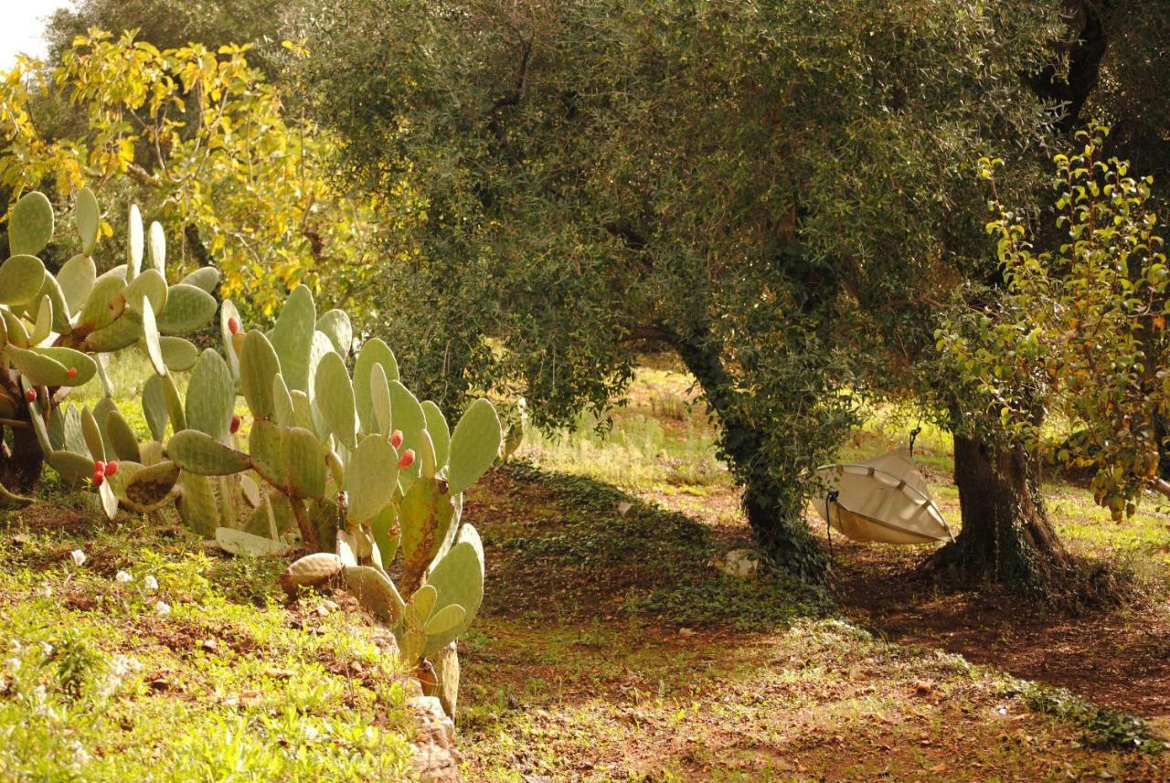 Il Giardino Di Viola Bed and Breakfast Ceglie Messapica Εξωτερικό φωτογραφία