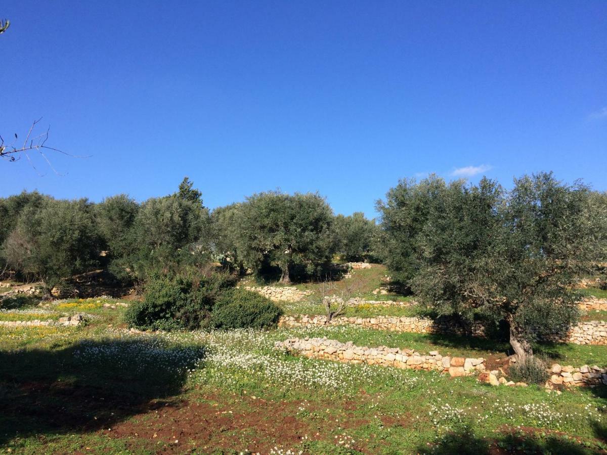Il Giardino Di Viola Bed and Breakfast Ceglie Messapica Εξωτερικό φωτογραφία