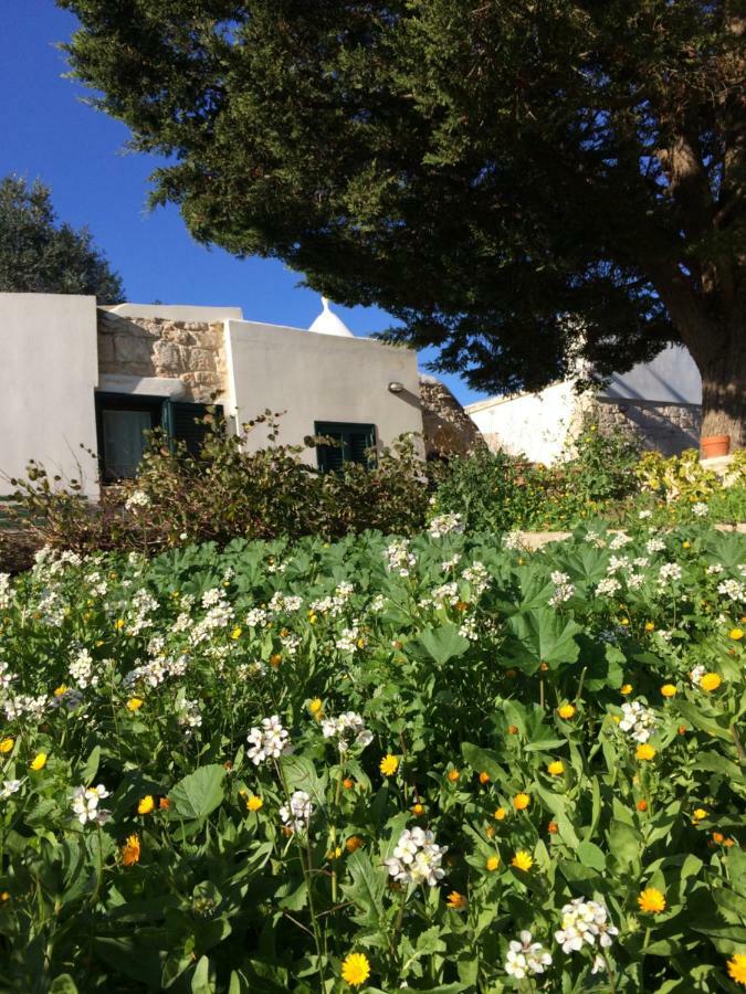Il Giardino Di Viola Bed and Breakfast Ceglie Messapica Εξωτερικό φωτογραφία