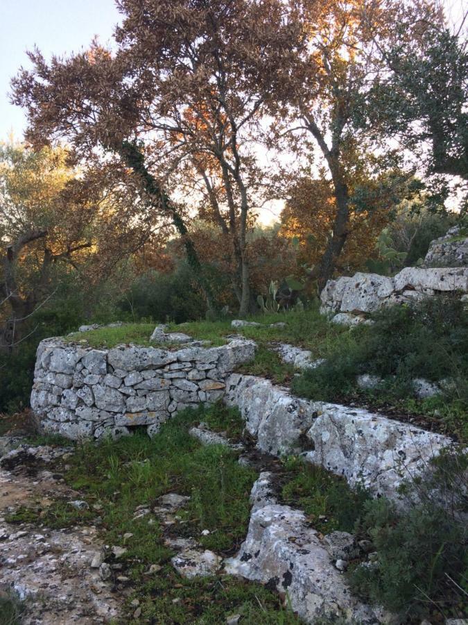 Il Giardino Di Viola Bed and Breakfast Ceglie Messapica Εξωτερικό φωτογραφία