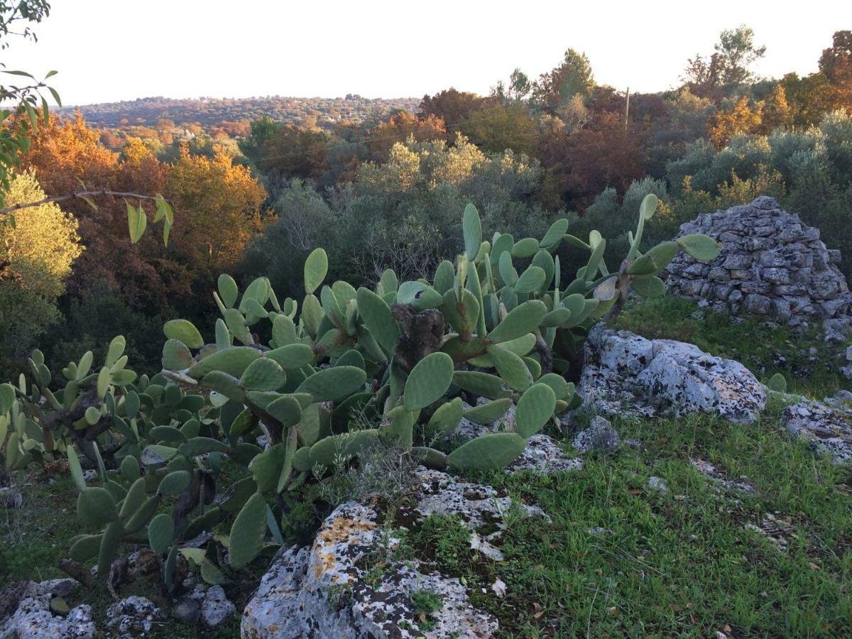 Il Giardino Di Viola Bed and Breakfast Ceglie Messapica Εξωτερικό φωτογραφία