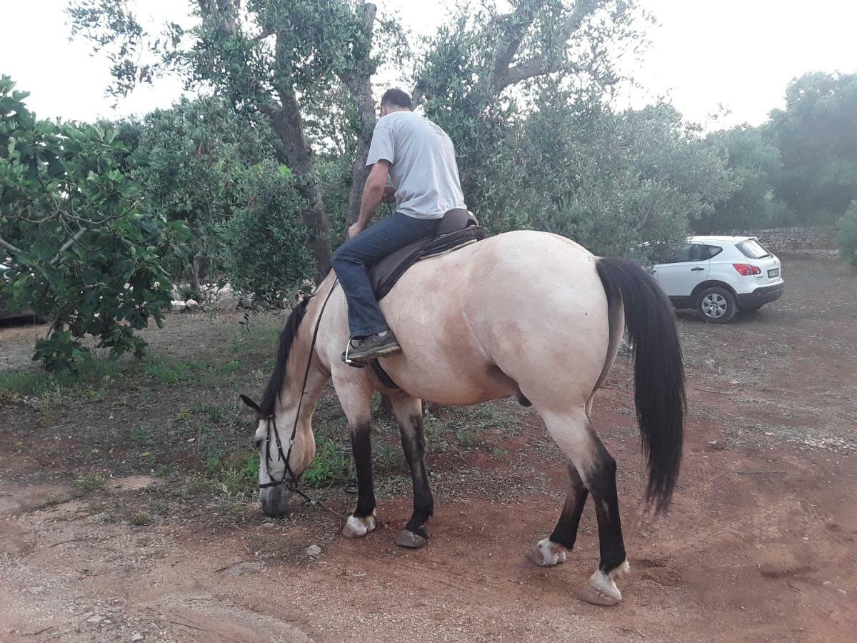 Il Giardino Di Viola Bed and Breakfast Ceglie Messapica Εξωτερικό φωτογραφία